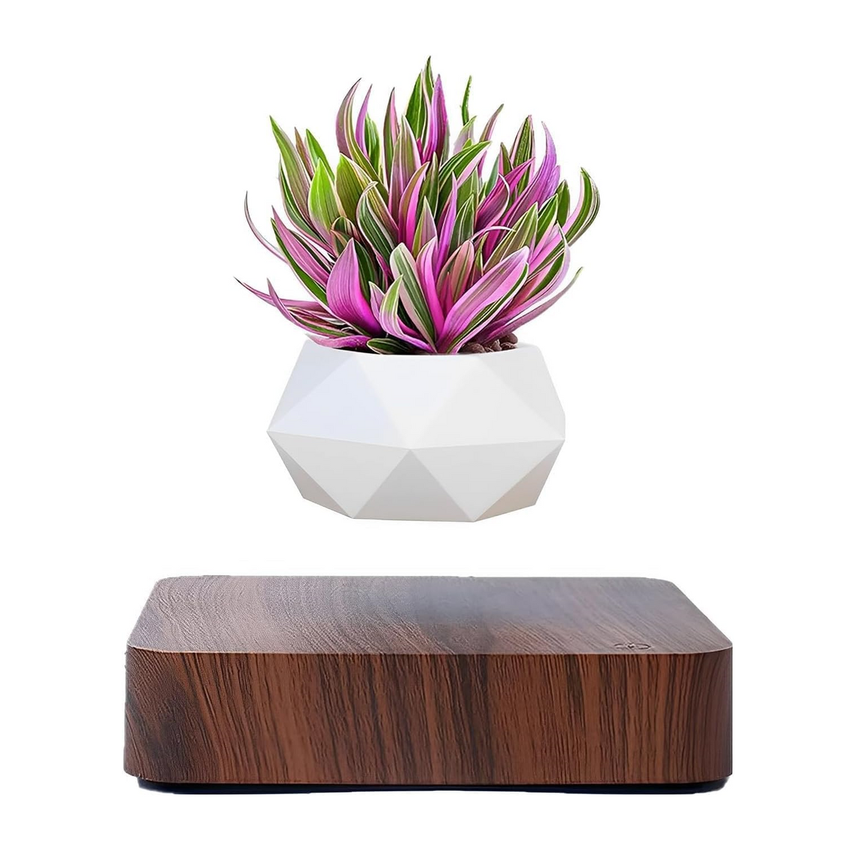 levitos plant pot Levitas™