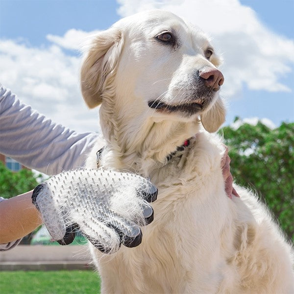 Brush & Massage Glove For Pet