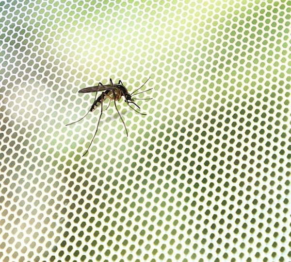 Anti-Mosquito Window Screen