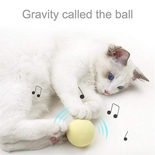 Interactive Cat Toy ( 3 Pieces )
