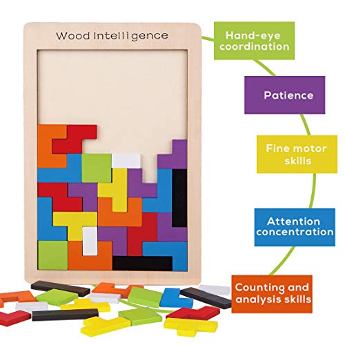 Wooden Puzzle Brain Teasers Game
