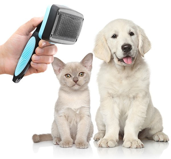 Pets Cleaning Brush